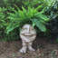 Pot à fleurs Muggly's Aunt Minnie-901691962-901691959