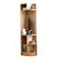 New Chinese Style Elm Corner Cabinet