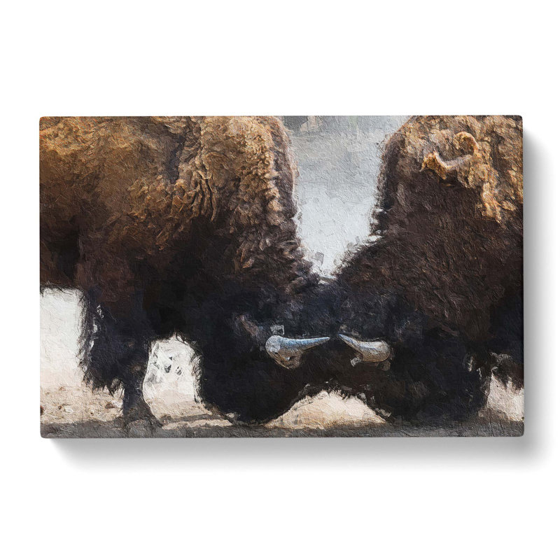 Battling Bison - Wrapped Canvas, 35cm H x 50cm W x 3cm D
