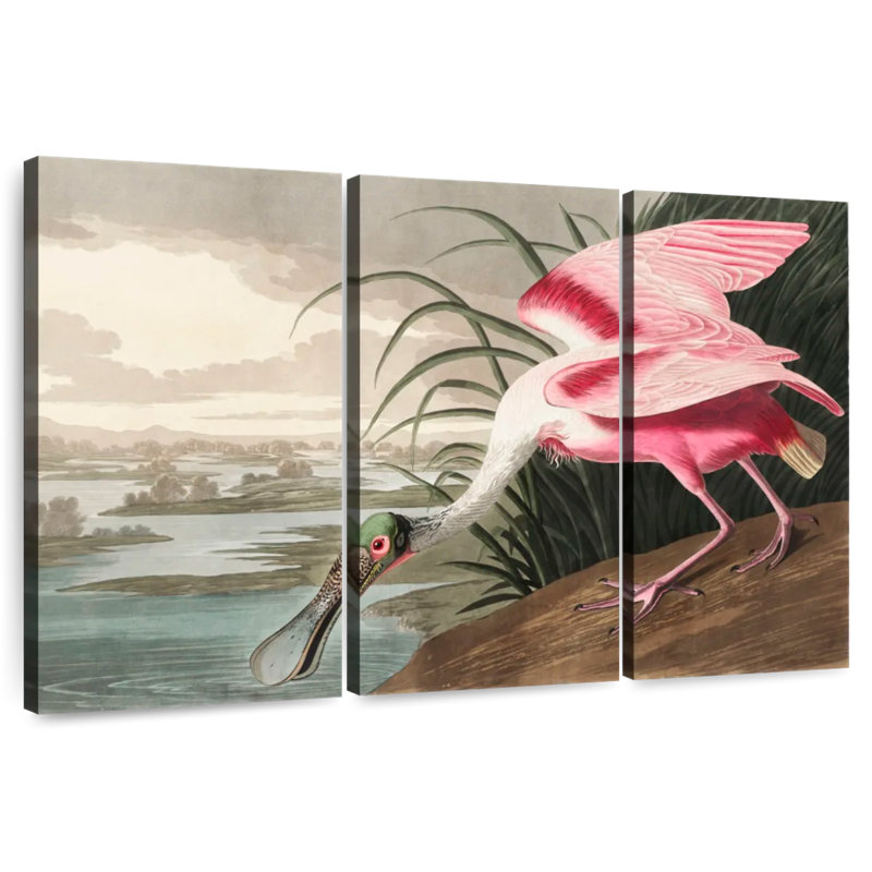 Roseate Spoonbill, 48" H x 74" W