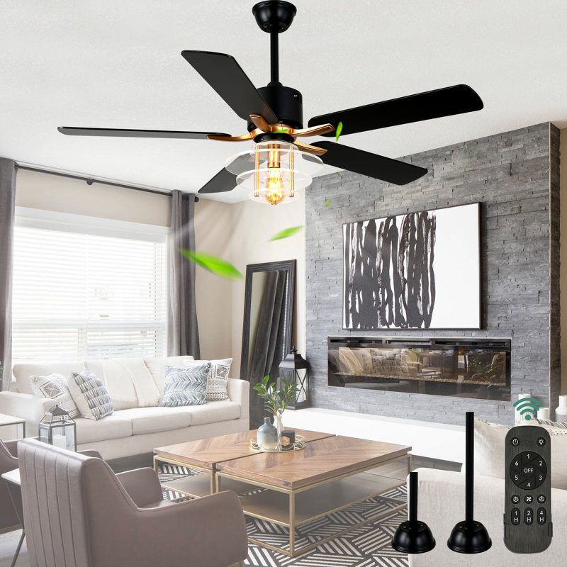 52 Inch Farmhouse Caged 6 Speed Reversible DC Motor Ceiling Fan With Light For Living Room, Black