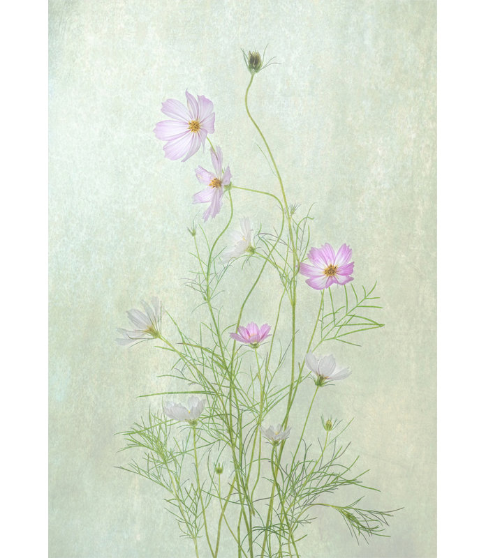 Wrapped Canvas Print, 121.92 cm H x 81.28 cm W