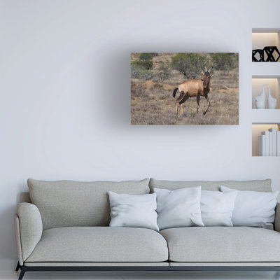 Art sur toile «Bob Bob Langrish»
