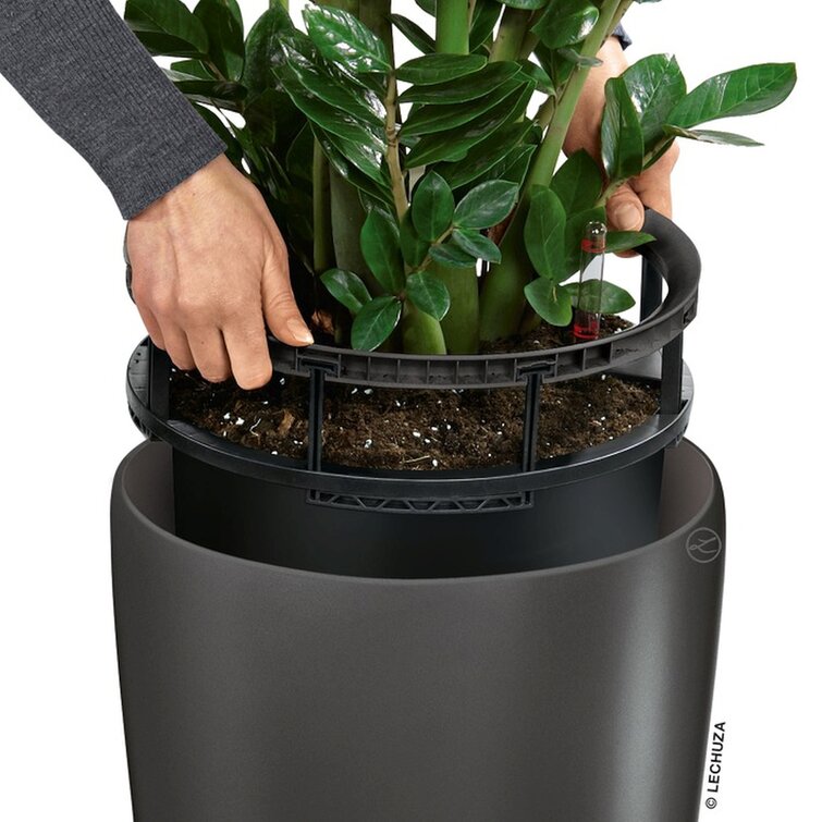 Lechuza Rondo Self Watering Planter - NewPro Containers