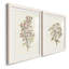 «Twig Study I», ensemble de 2 reproductions de cadres photo-691490338-691490340