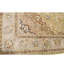 Oriental Area Rug in Gold