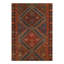 Oriental Area Rug in Brown