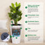 Pot Planter-685284879