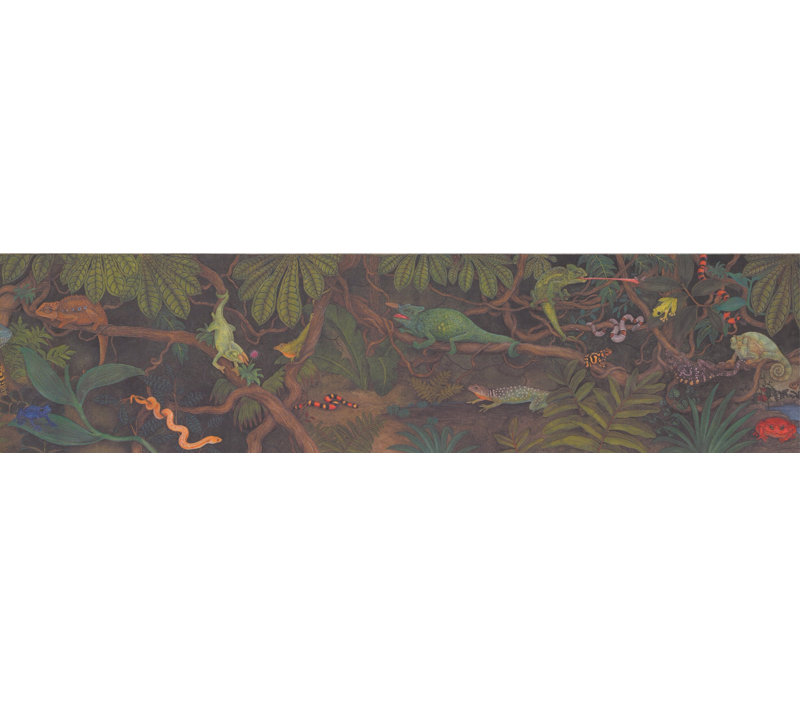Bordure de papier peint de 0,5 pi x l 180 po Jahnke Lizards, Snakes and Chameleon