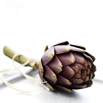 Artichoke On White Background by Jacob Wackerhausen - Wrapped Canvas Print