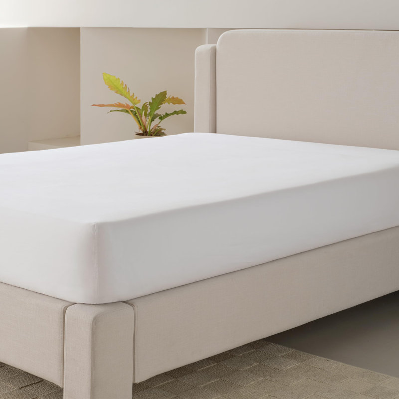 Double Stitch By Bedsure Cotton Tencel Fitted Sheet, Bright White, Queen Fitted Sheet