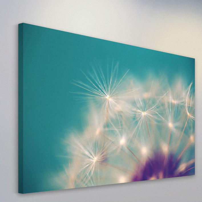«Pissenlit» par Sylvia Cook - impression sur toile tendue, H 20 po x l 30 po x 1,5 po