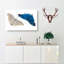 Adonis Butterfly - Wrapped Canvas-55368886
