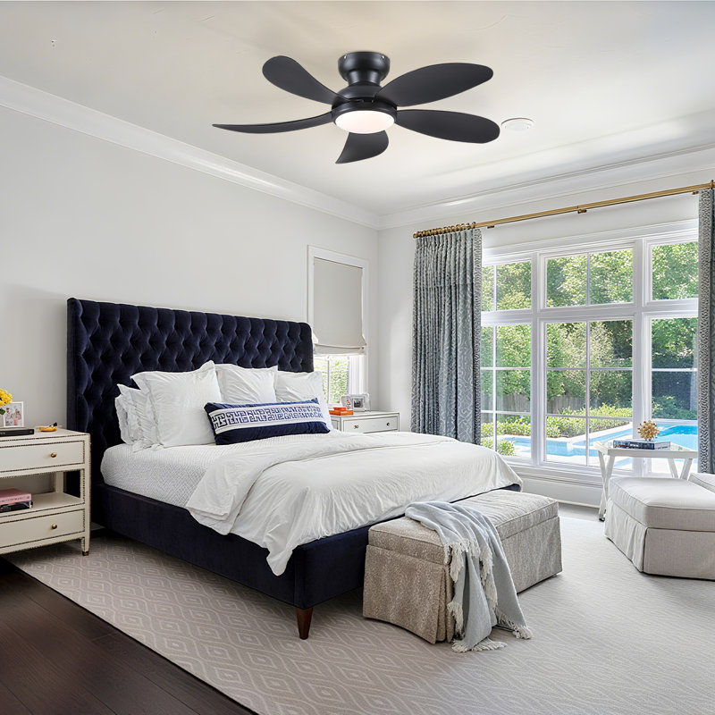 Fan Light, Black