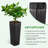 Tameiko Pot Planter-1811541199