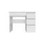 Eufelia Computer Desk-1098951183-1098951218
