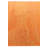 Noor Orange Rug