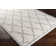 Bobrow Geometric White/Gray Area Rug