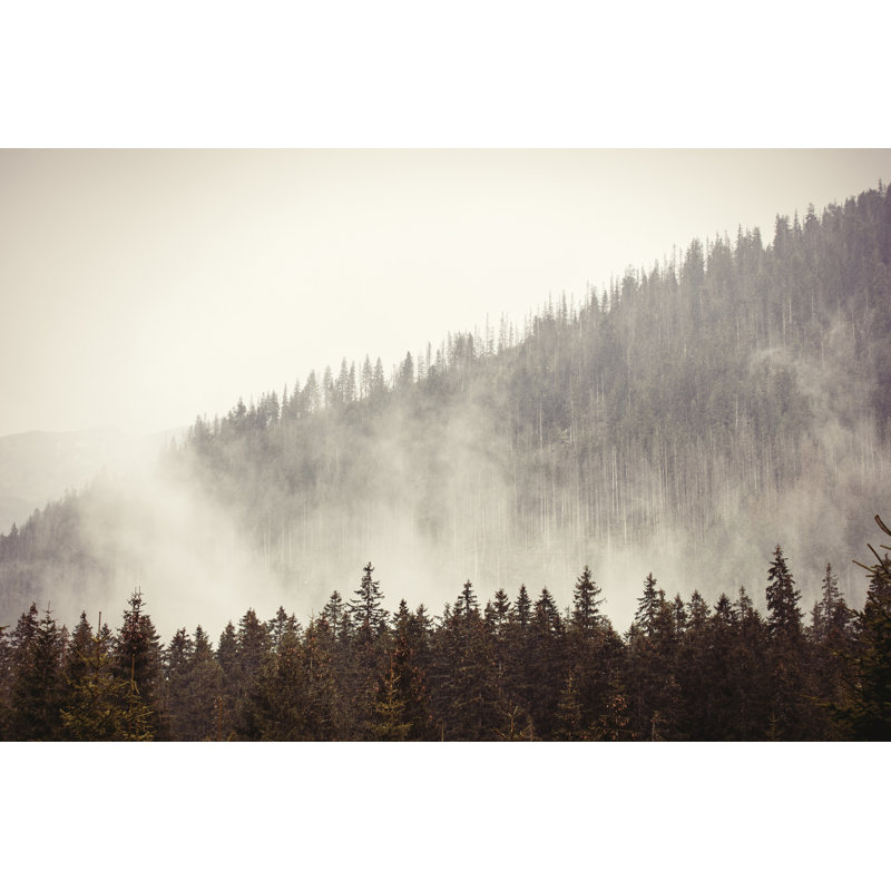 Murale sapin de forêt sur montagne misty Cansler, L 108 po x l 144 po