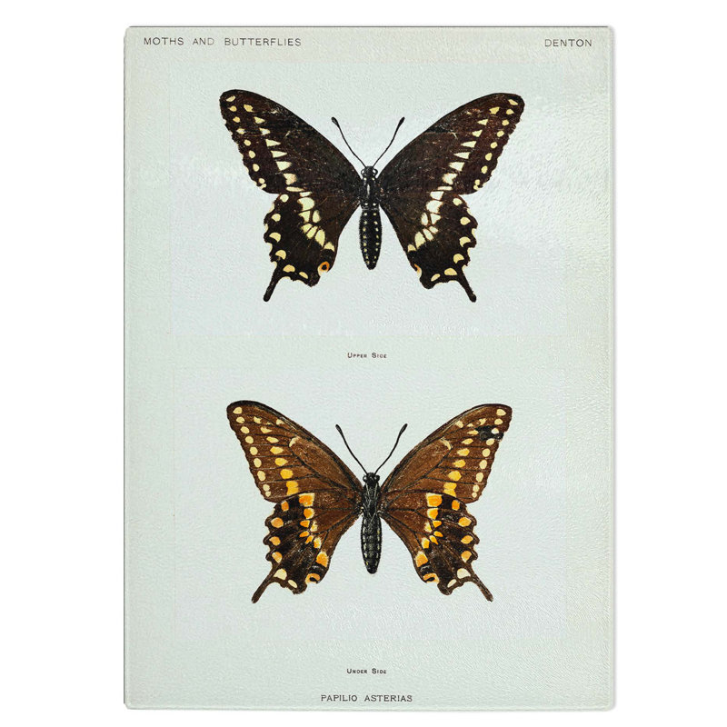 Tempered Glass Swallowtail Butterfly Chopping Board, 28.5 cm W x 39 cm L
