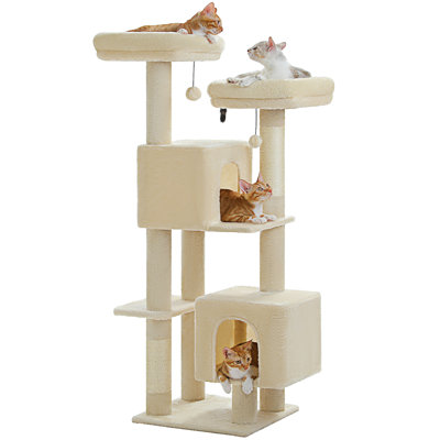 Cat Tree, 52.4"" Cat Tree Tower For Indoor Cats, Cute Cat Tree With 2 Flower Padded Perches, 2 Condos & 2 Scratching Posts -  Tucker Murphy Petâ¢, BD54E97AE85C411CB16EDC6AE0FEB1B6