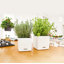 Pot de fleurs en plastique Cube-35933690-35944184