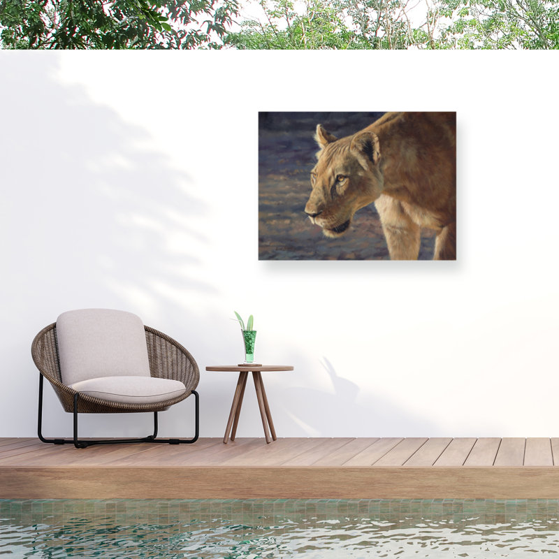 Toile d'extérieur David Stribble Lioness South Luangwa, H 35 po x l 47 po