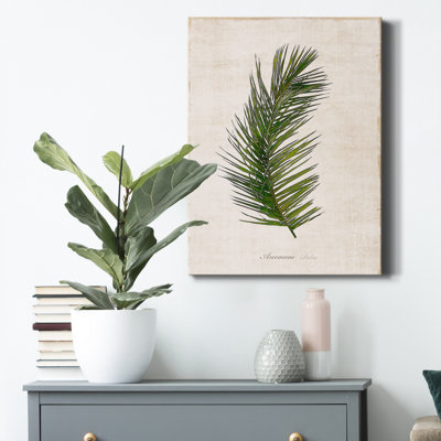Palm Botanical II - impression sur toile tendue