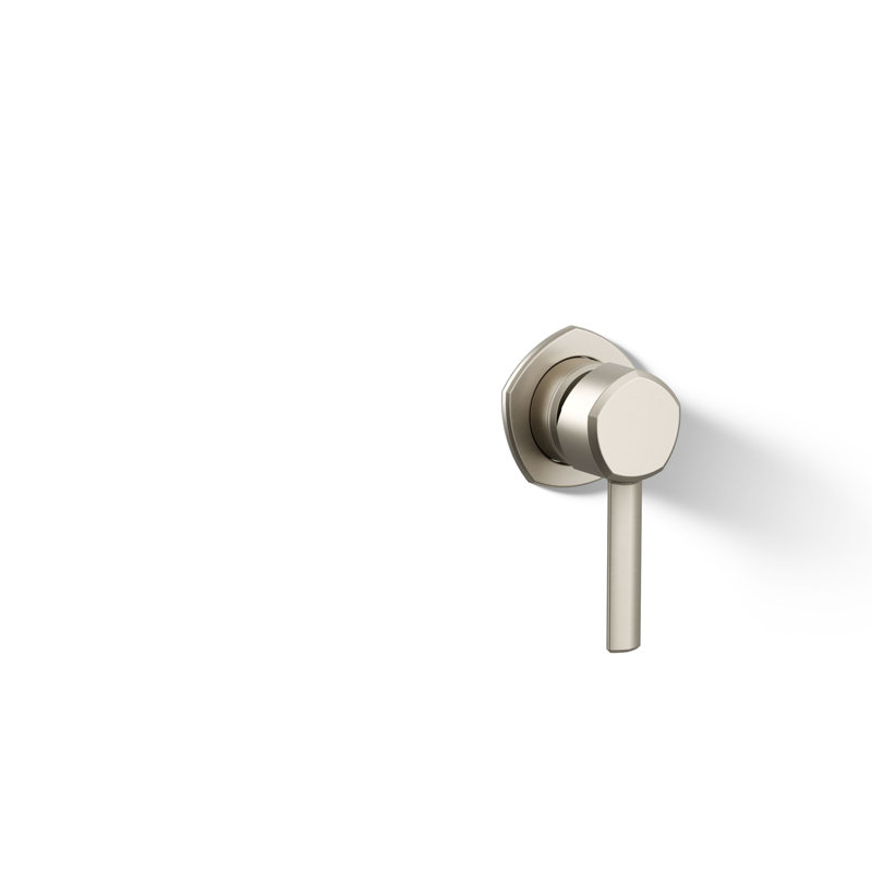 Occasion 2.75" W x 2.81" H Bathroom Sink Handle, Brushed Nickel