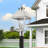 Florinel Lantern Head-407030465-440469230