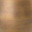 Light Bronze