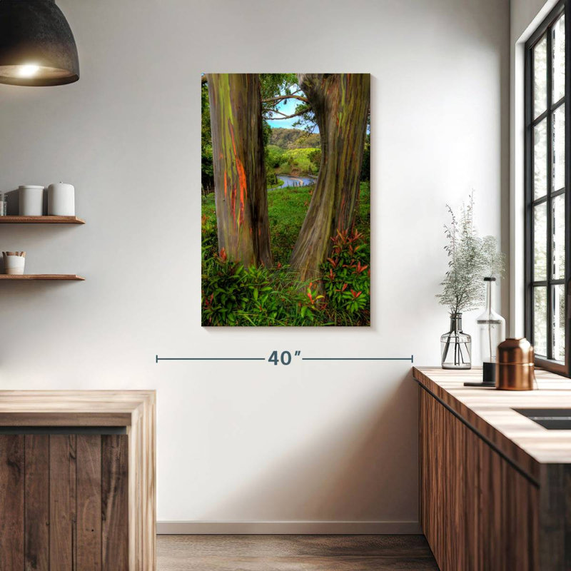 Harnek Roadside Rainbow Eucalyptus, 39" H x 26" W