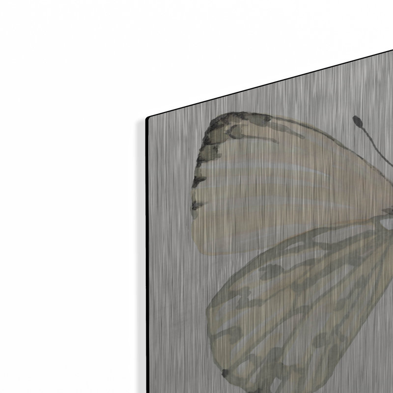 "Butterfly 2" par Stellar Design Studio, H 16 po x l 24 po