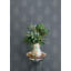 Papier peint Frond Denim Leaf-2088466726