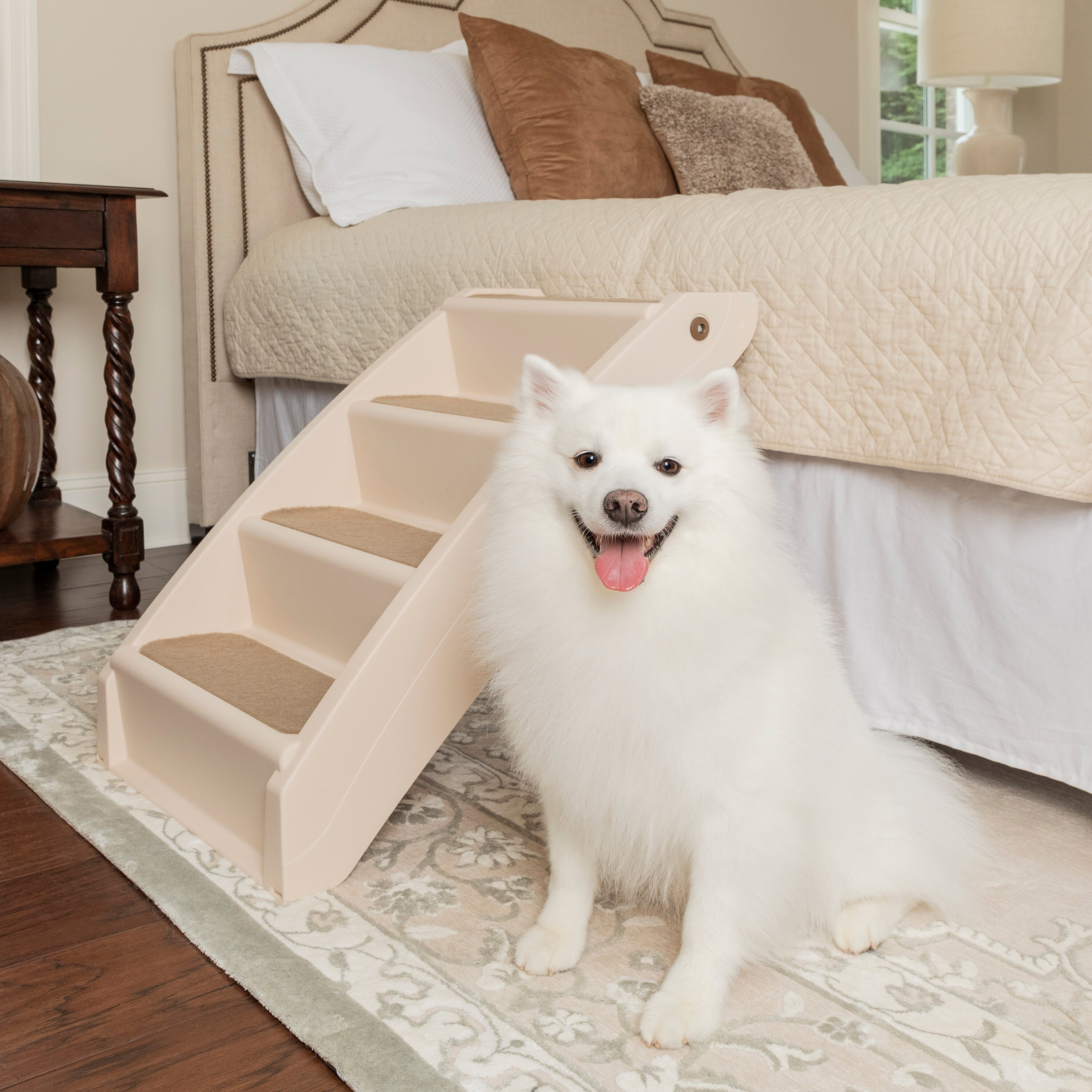 Up & clearance under doggy steps