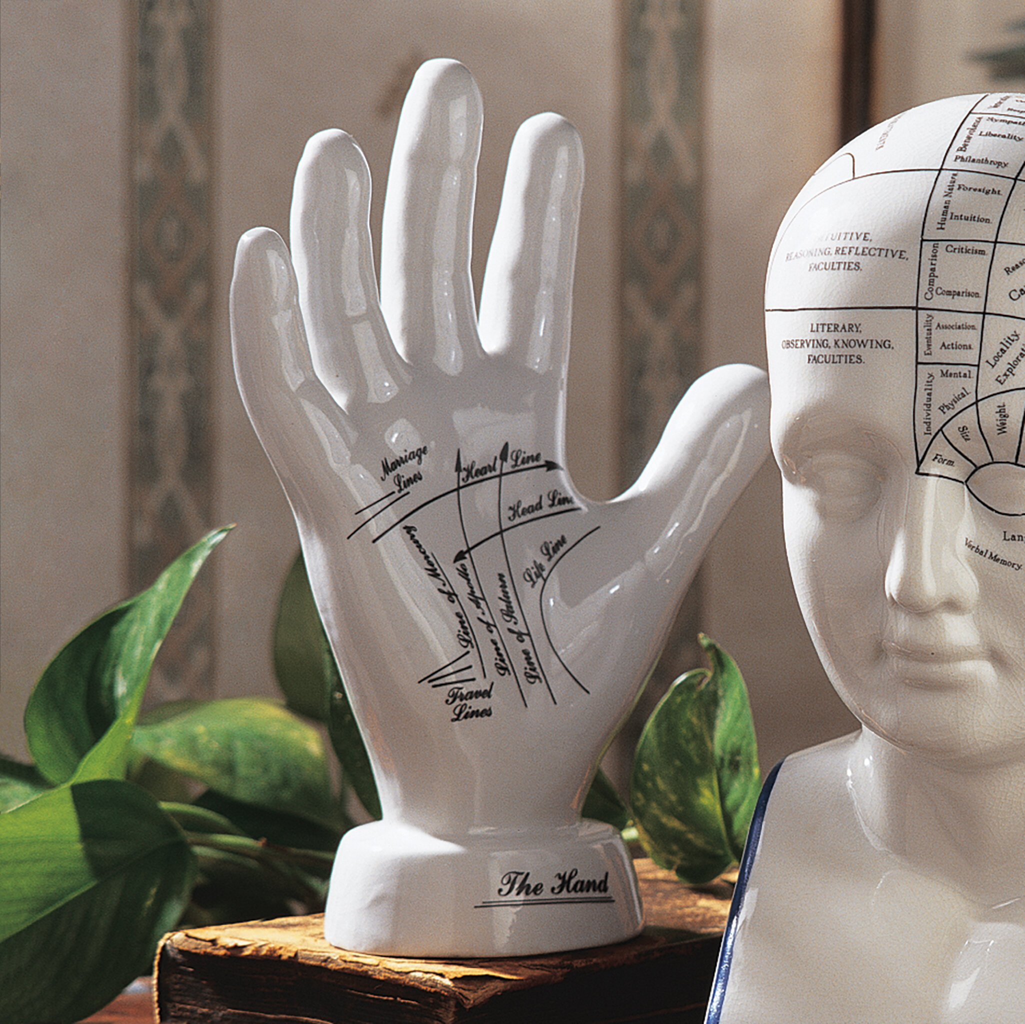 Design Toscano The Palmistry Hand Sculpture-