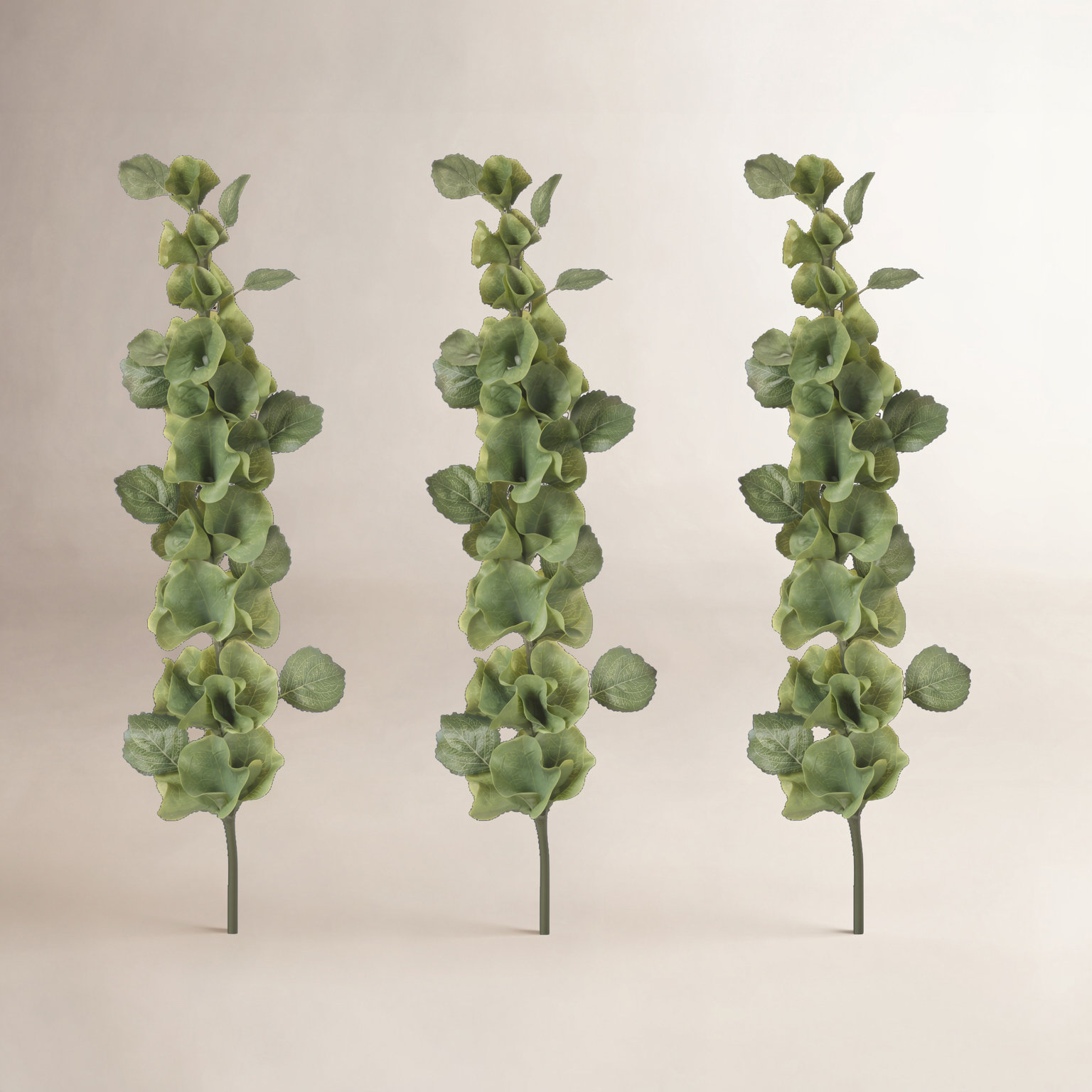 Bells of Ireland Stems