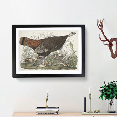 Great American Hen by John Audubon - Picture Frame Painting Print