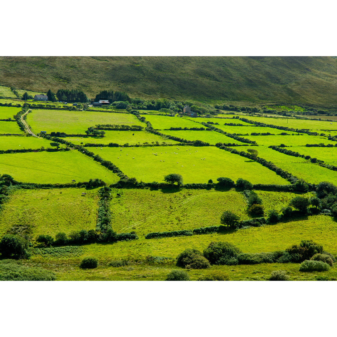 Clearlake Clearlake Rural Landscape In Ireland - Wrapped Canvas Print