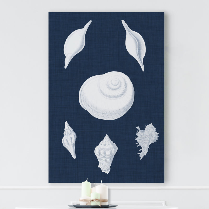 « coquillages blancs iv », impression sur toile, H 12 po x l 8 po x P 1 po, Toile tendue