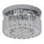 Renz LED Semi Flush Mount