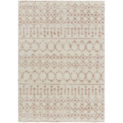 Southwestern Indoor Rug