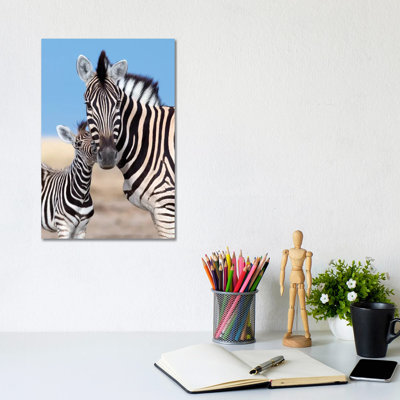 Zebra Mother And Foal by Mogens Trolle - Wrapped Canvas Print