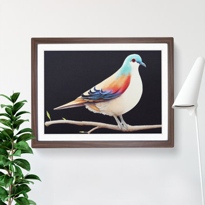 Watercolour Dove Bird - Single Picture Frame Print