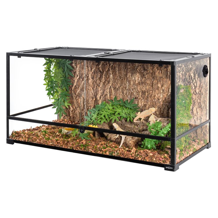 REPTIZOO 48'' x 24'' x 24'' Reptile Terrarium | Wayfair