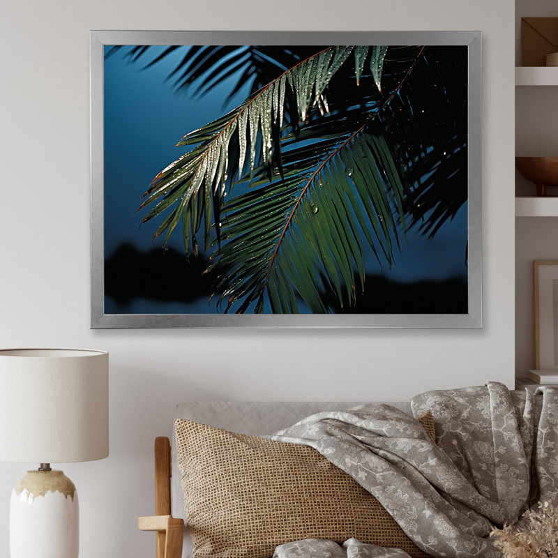 «Sapphire Solitude Palm Tree Night», reproduction sur toile, Cadre photo argenté, H 12 po x l 20 po x P 1 po