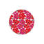 Tapis rouge lavable à la machine à motif floral rouge-1658000434