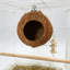 Nichoir en noix de coco, cabane naturelle en noix de coco avec fixation par vis métallique, abri suspendu pour perroquets, hamsters, écureuils et autres petits animaux