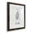Black Framed Paper