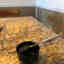 Photos des clients 1 de 1